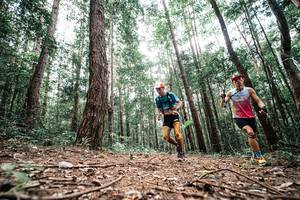 BIB: 
                            <button type="button" onclick="openModal(25261171)" class="btn btn-primary btn-sm float-right btn-popup" data-toggle="modal" data-target=".modal-high-quality">
                        <i class="fas fa-shopping-cart"></i> Add to Cart
                    </button>
                                            <button type="button" onclick="isThisMe(25261171, true)" class="btn btn-success btn-sm float-right btn-popup btn-isme hidden" data-toggle="tooltip" data-placement="bottom" title="นี่คือรูปของคุณใช่ไหม คลิกที่นี่เพื่อเอาเข้าอัลบั้ม">
                        <i class="fas fa-plus"></i> Add to album
                    </button>
                    <button type="button" onclick="isThisMe(25261171, false)" class="btn btn-warning btn-sm float-right btn-popup btn-isnotme hidden">
                        <i class="fas fa-ban"></i> Remove from album
                    </button>